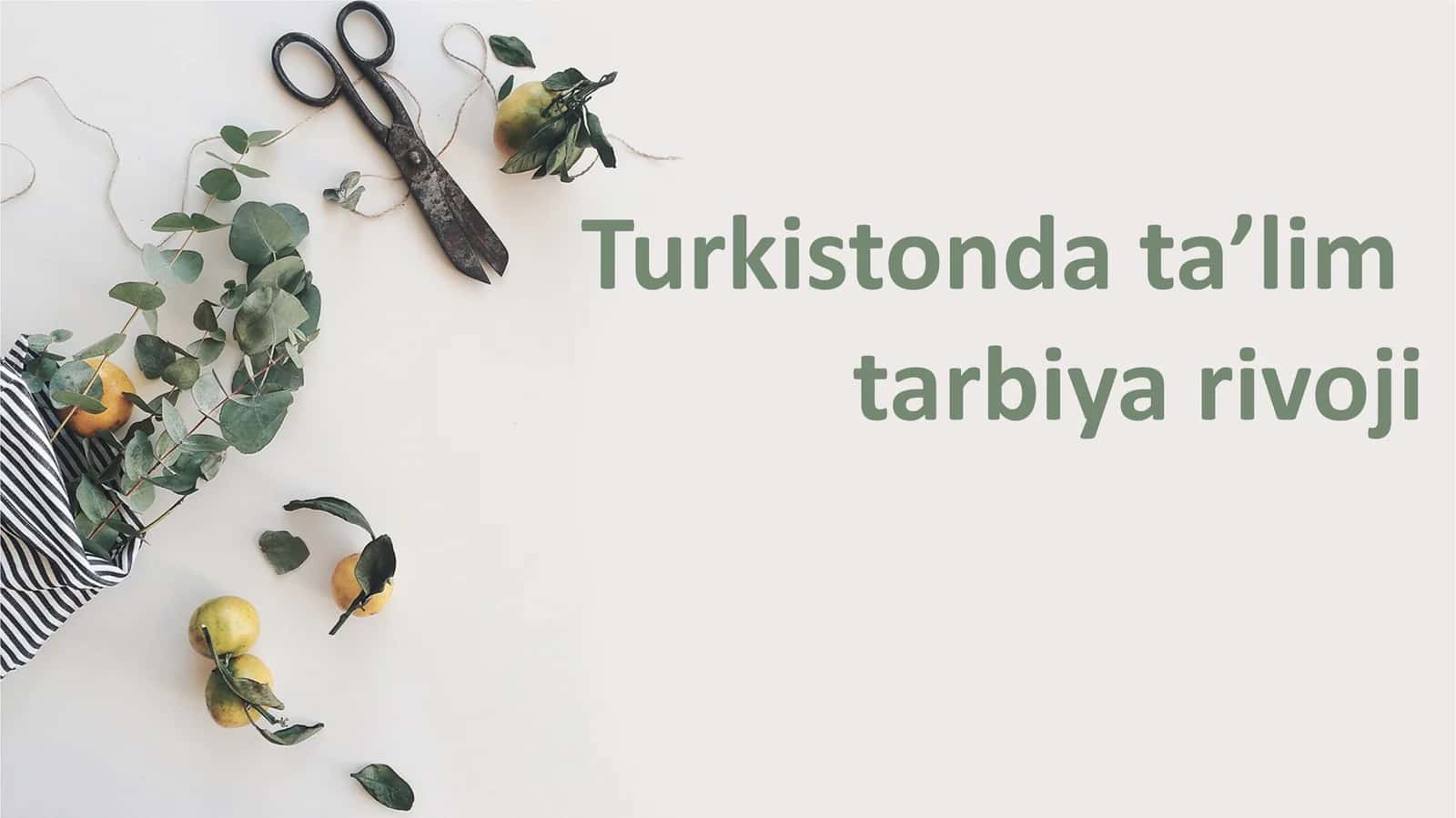 Turkistonda ta’lim  tarbiya rivoji