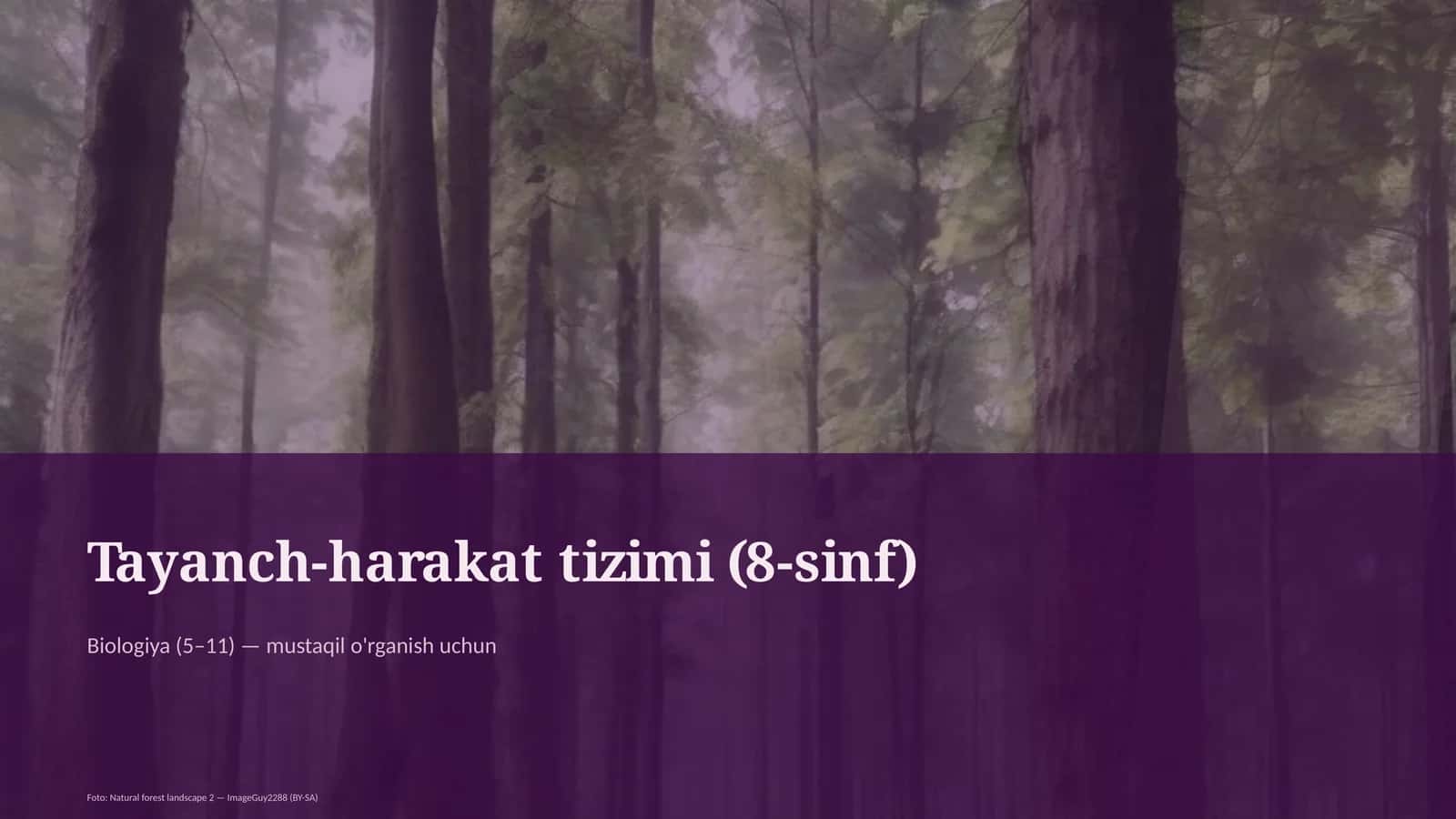 Tayanch-harakat tizimi (8-sinf)