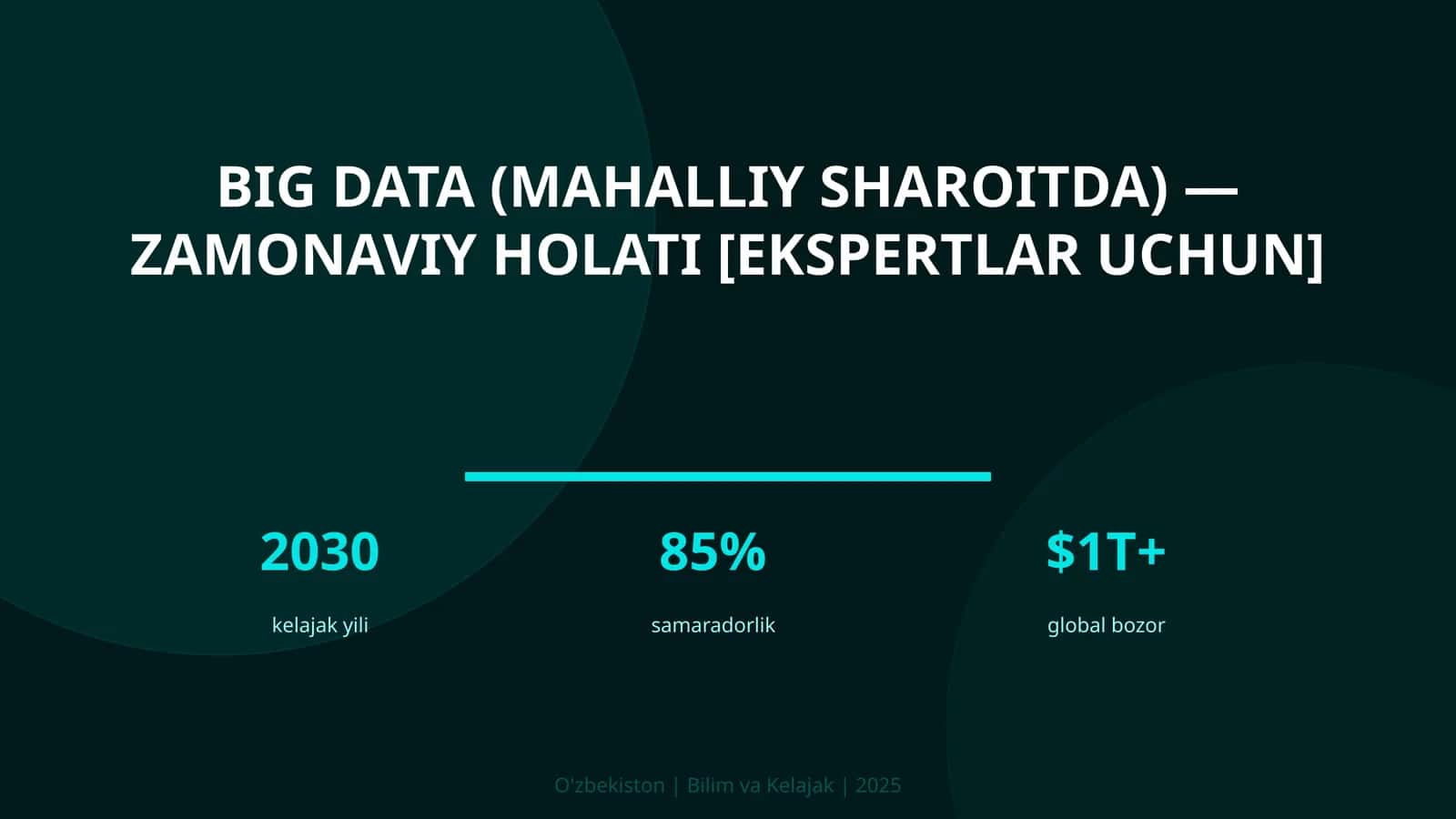 BIG DATA (MAHALLIY SHAROITDA) - ZAMONAVIY HOLATI [EKSPERTLAR UCHUN]
