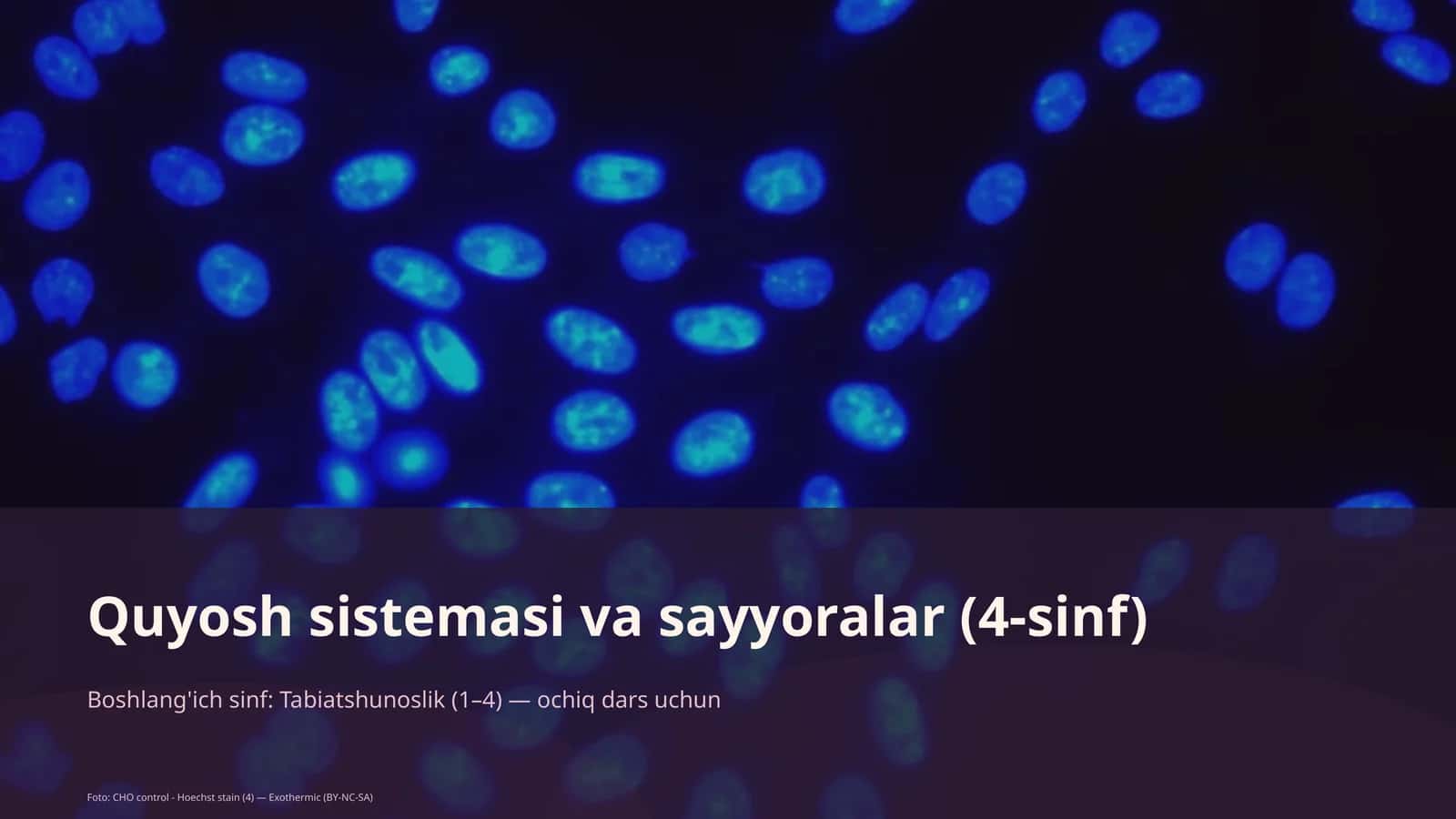 Quyosh sistemasi va sayyoralar (4-sinf)