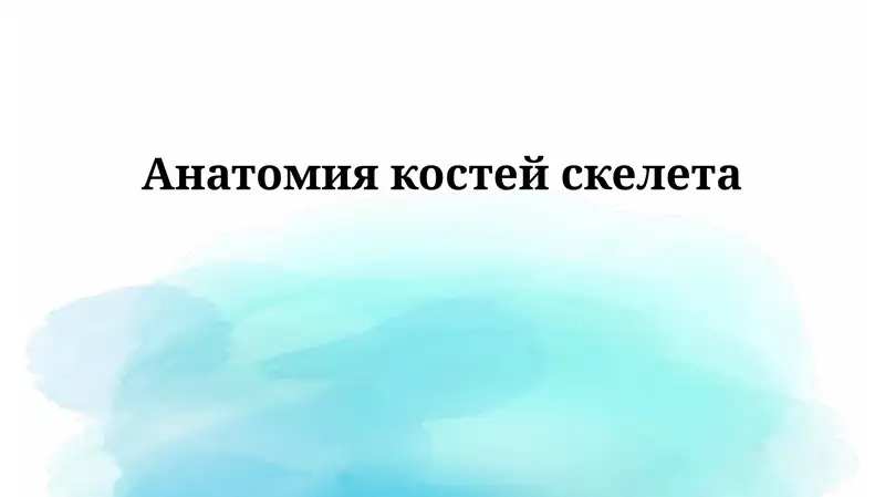 Анатомия костей скелета