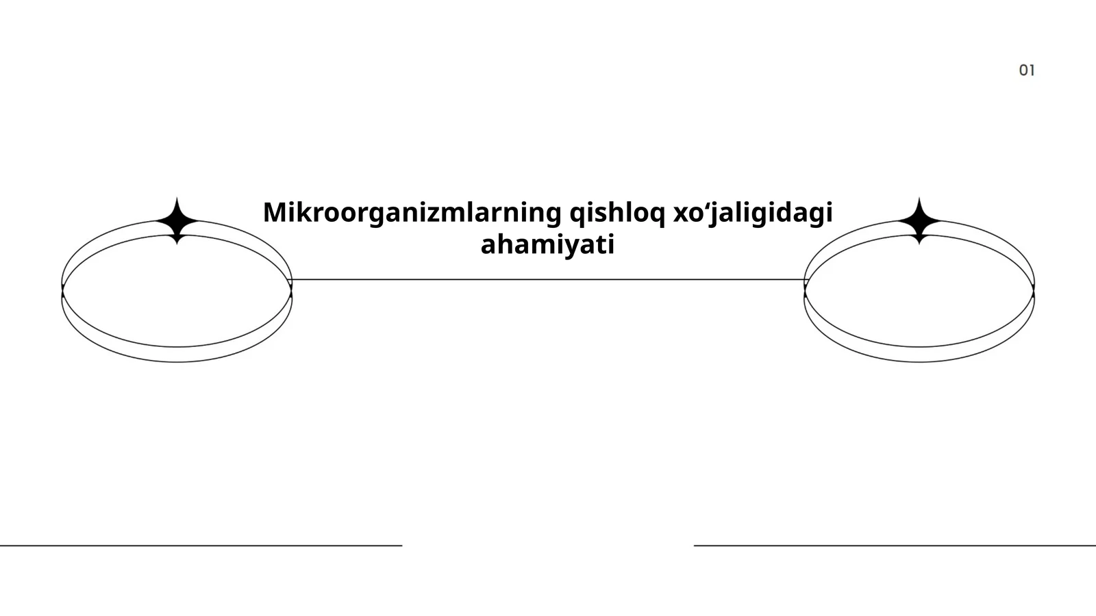 Mikroorganizmlarning qishloq xoʻjaligidagi ahamiyati