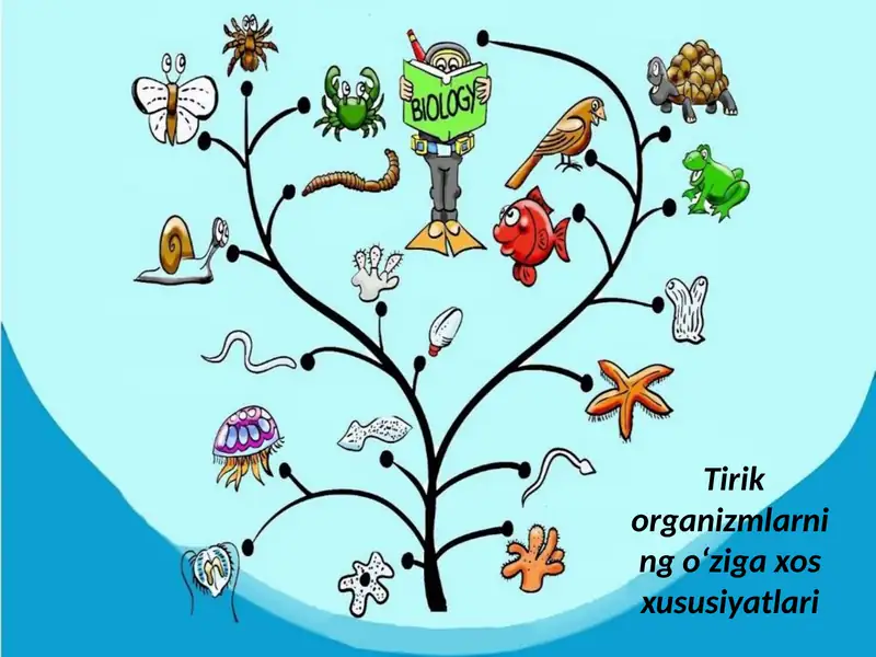 Tirikorganizmlarning o‘zigaxos xususiyatlari