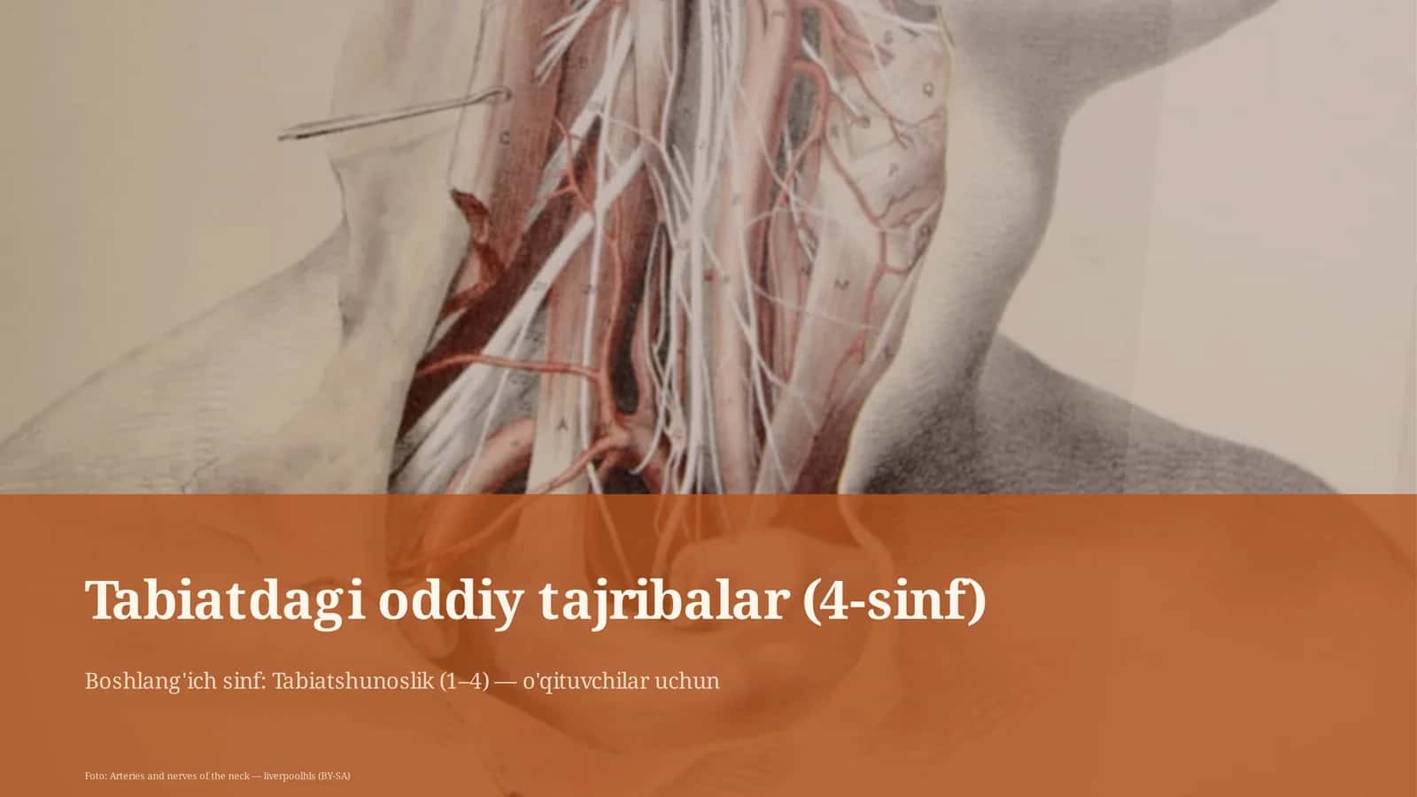 Tabiatdagi oddiy tajribalar (4-sinf)
