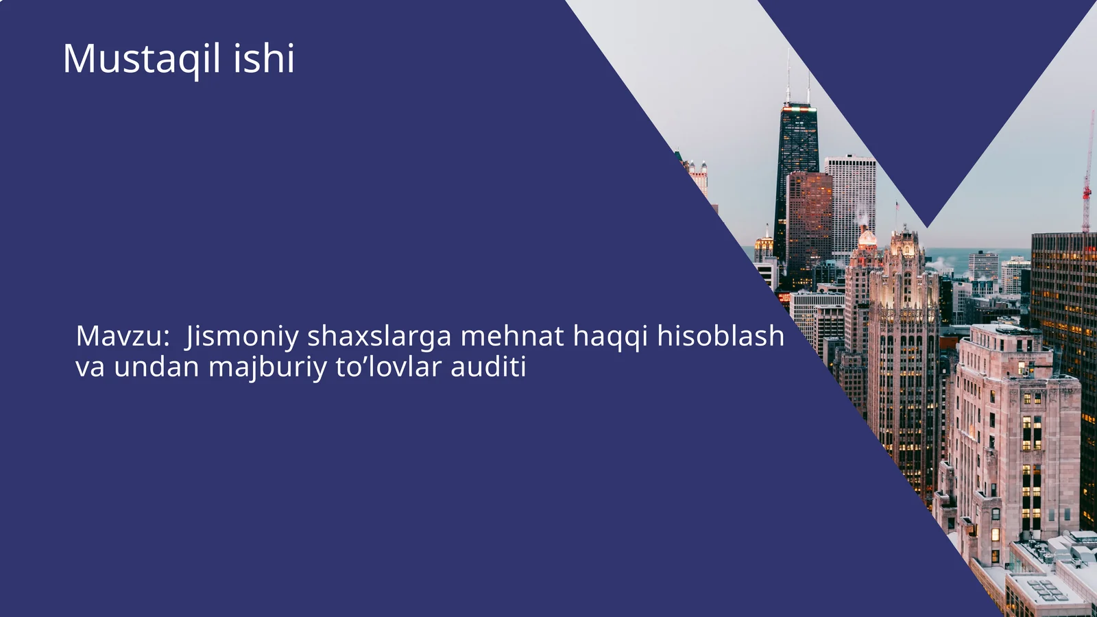 Jismoniy shaxslarga mehnat haqqi hisoblash va undan majburiy to’lovlar auditi