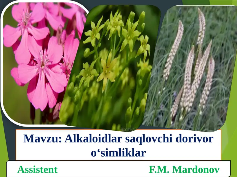 Alkaloidlarning ta'rifi