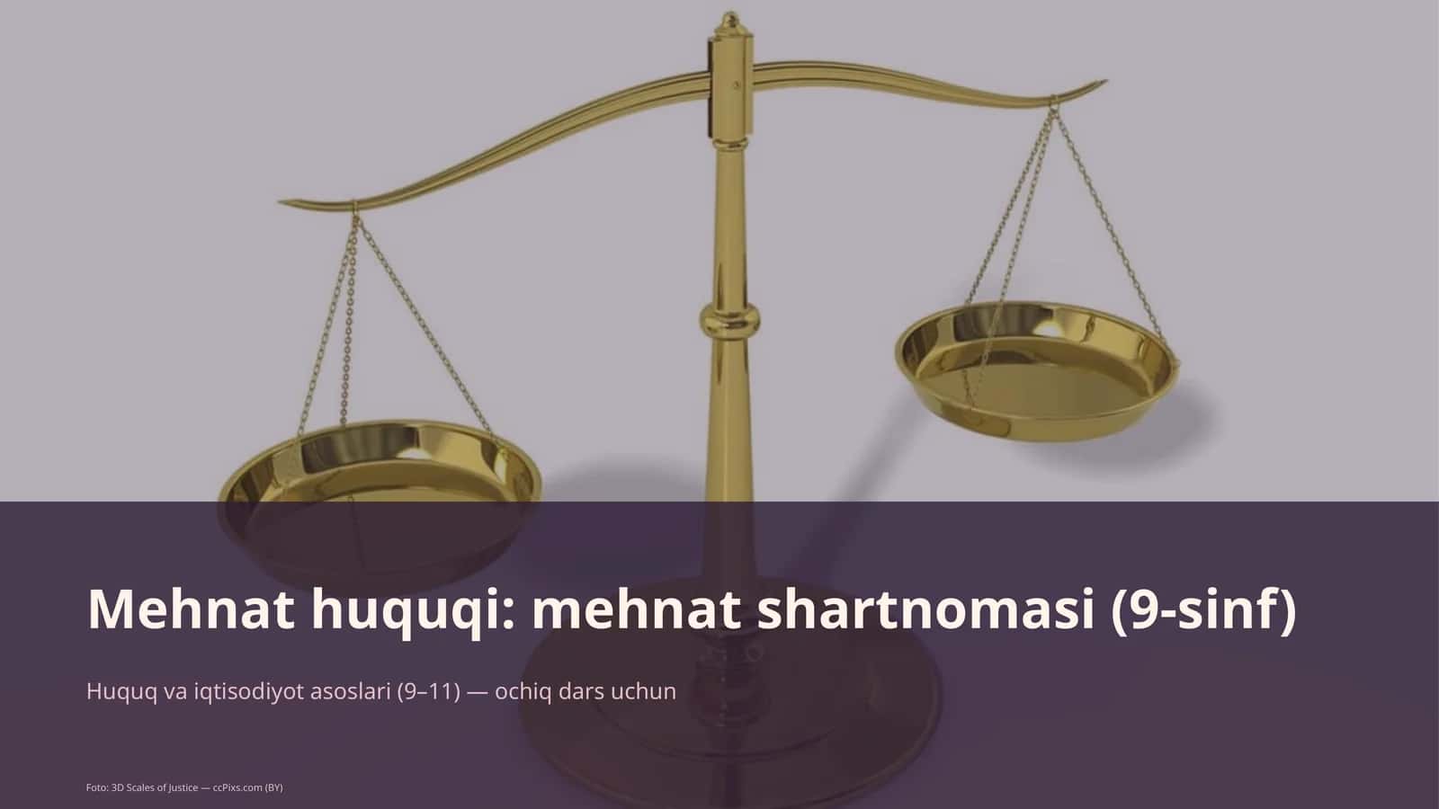 Mehnat huquqi: mehnat shartnomasi (9-sinf)