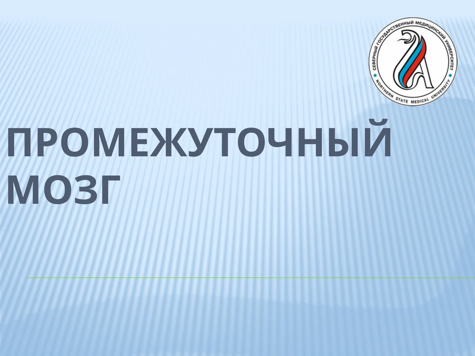 Анатомия промежуточного мозга