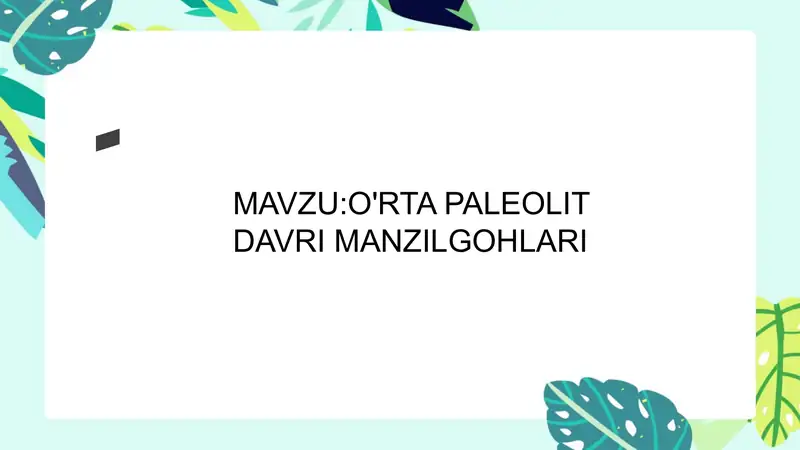 O'RTAPALEOLITDAVRIMANZILGOHLARI