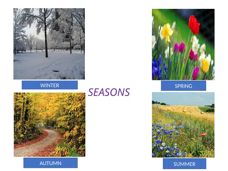 SEASONS