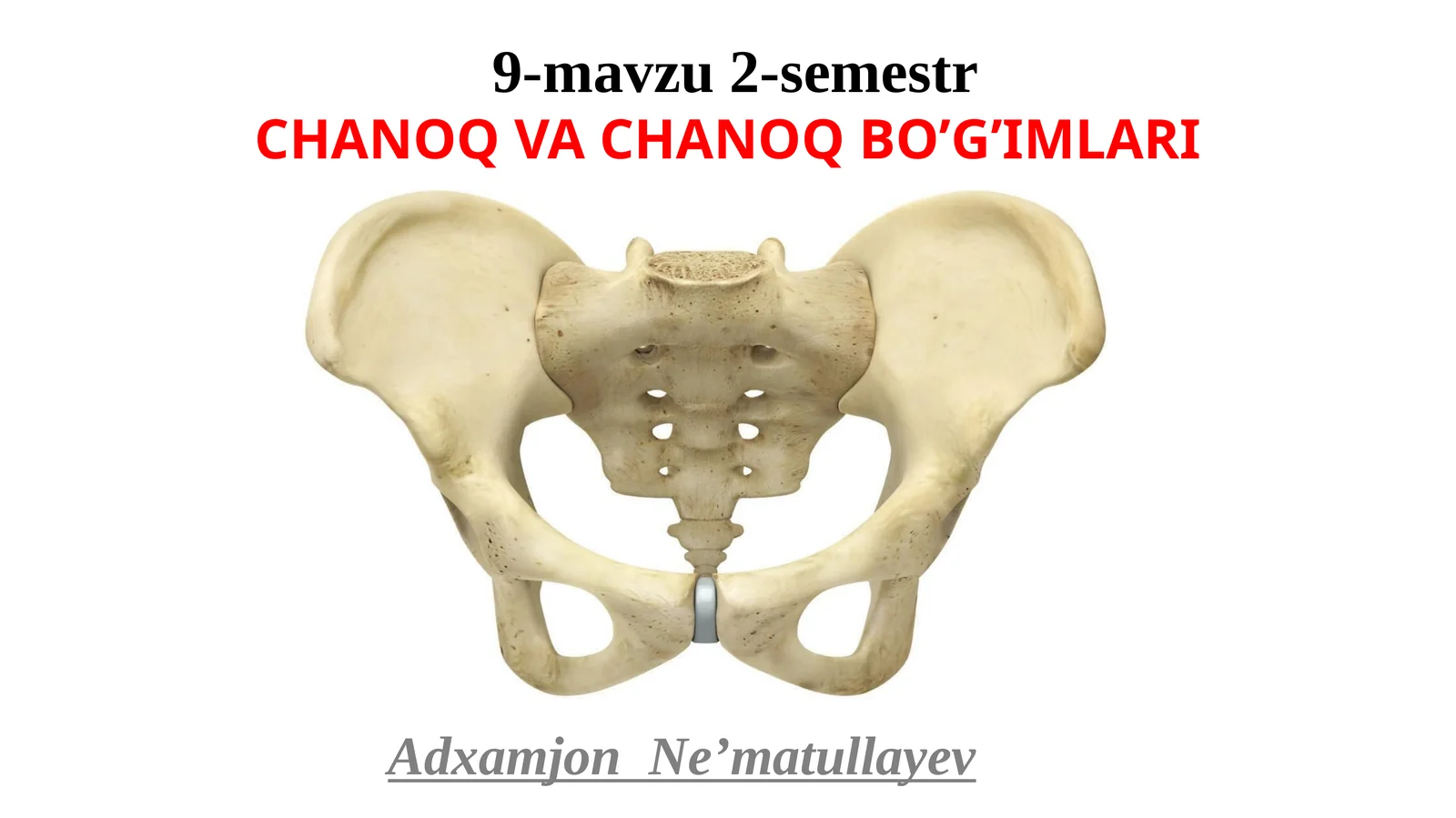 CHANOQ VA CHANOQ BO’G’IMLARI
