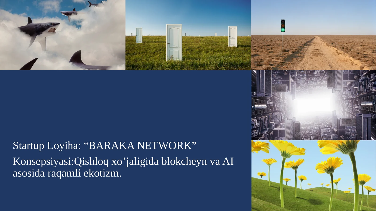 Startup Loyiha: “BARAKA NETWORK”