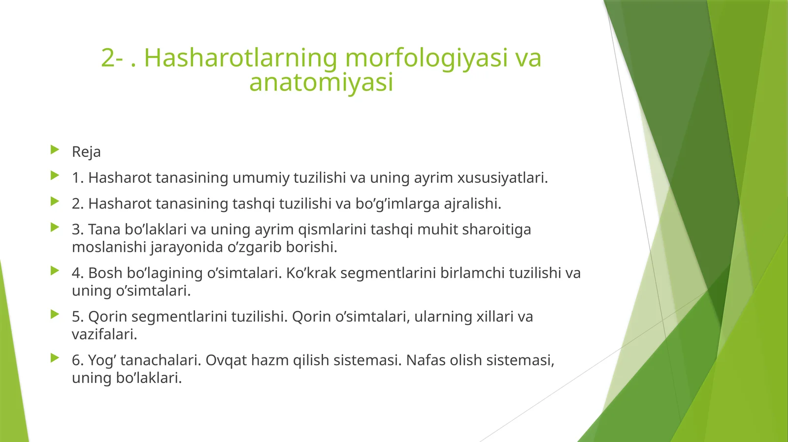 Hasharotlarning morfologiyasi va anatomiyasi