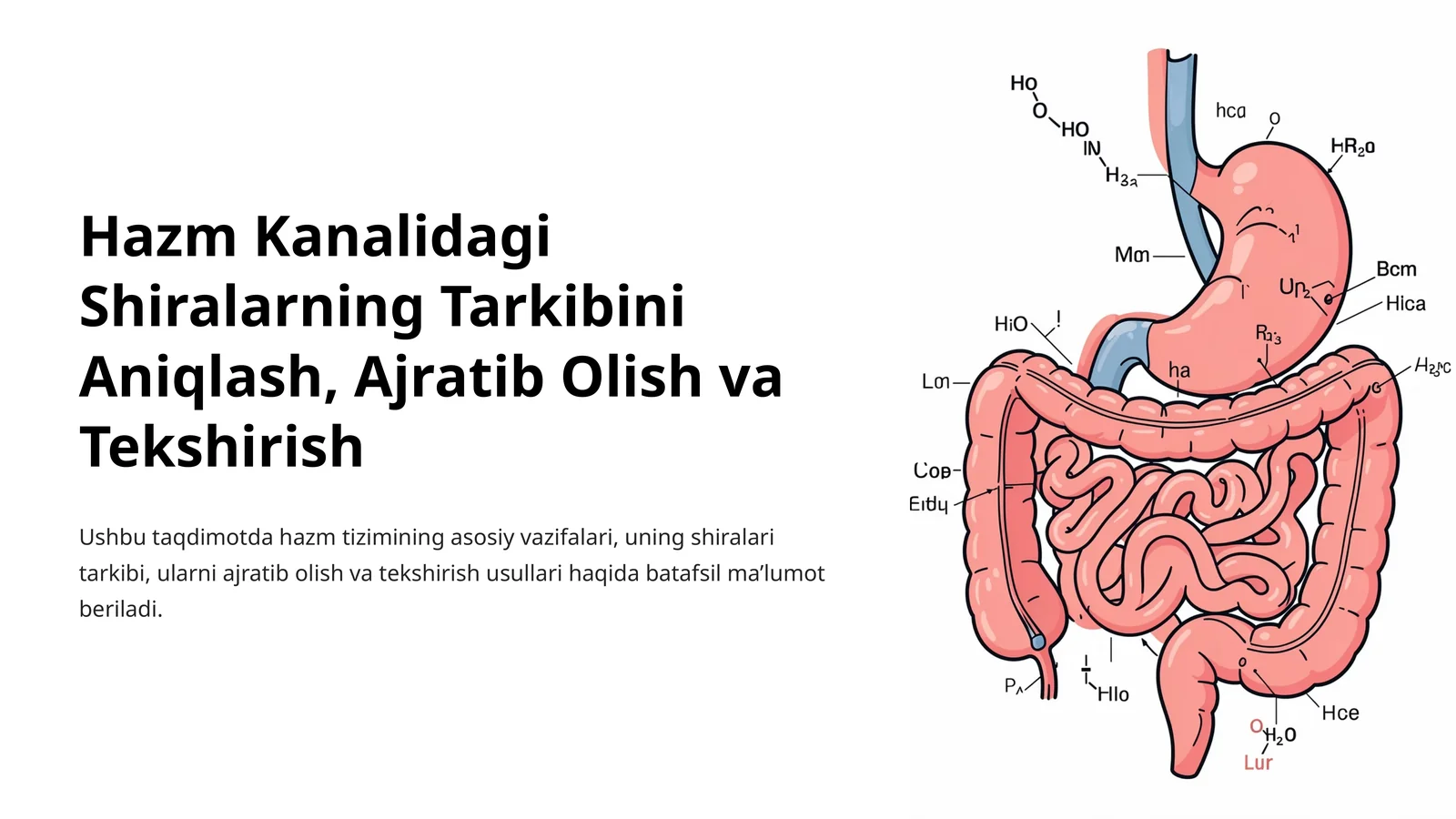 Hazm Kanalidagi Shiralarning Tarkibini Aniqlash, Ajratib Olish va Tekshirish
