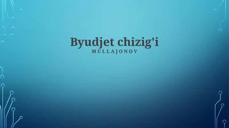 Byudjet chizig'i