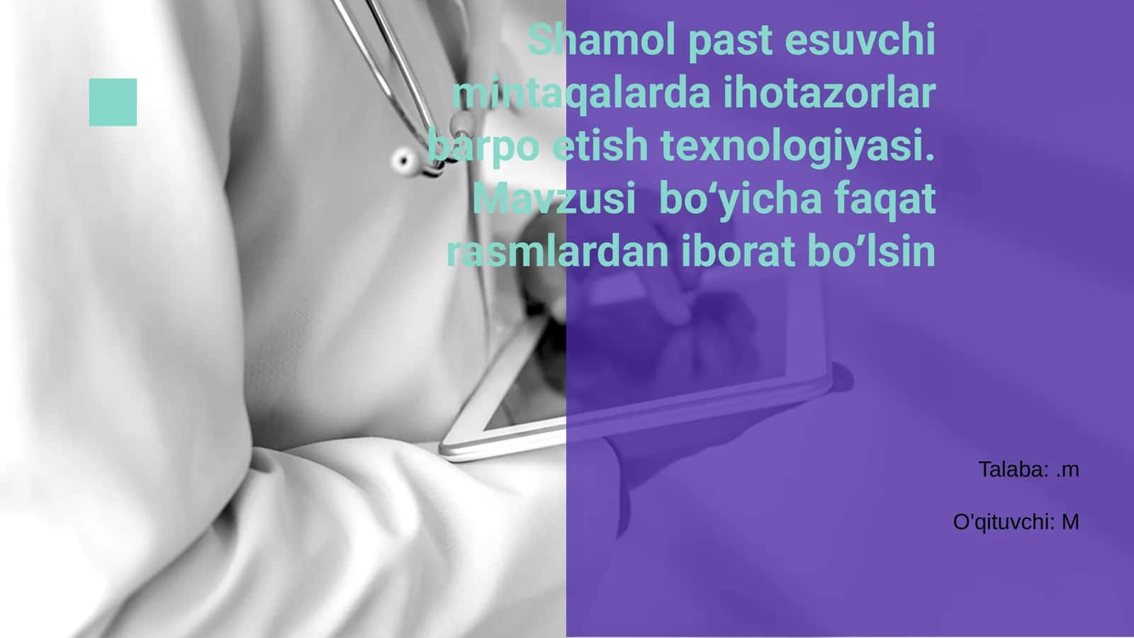 Shamol past esuvchi mintaqalarda ihotazorlar barpo etish texnologiyasi