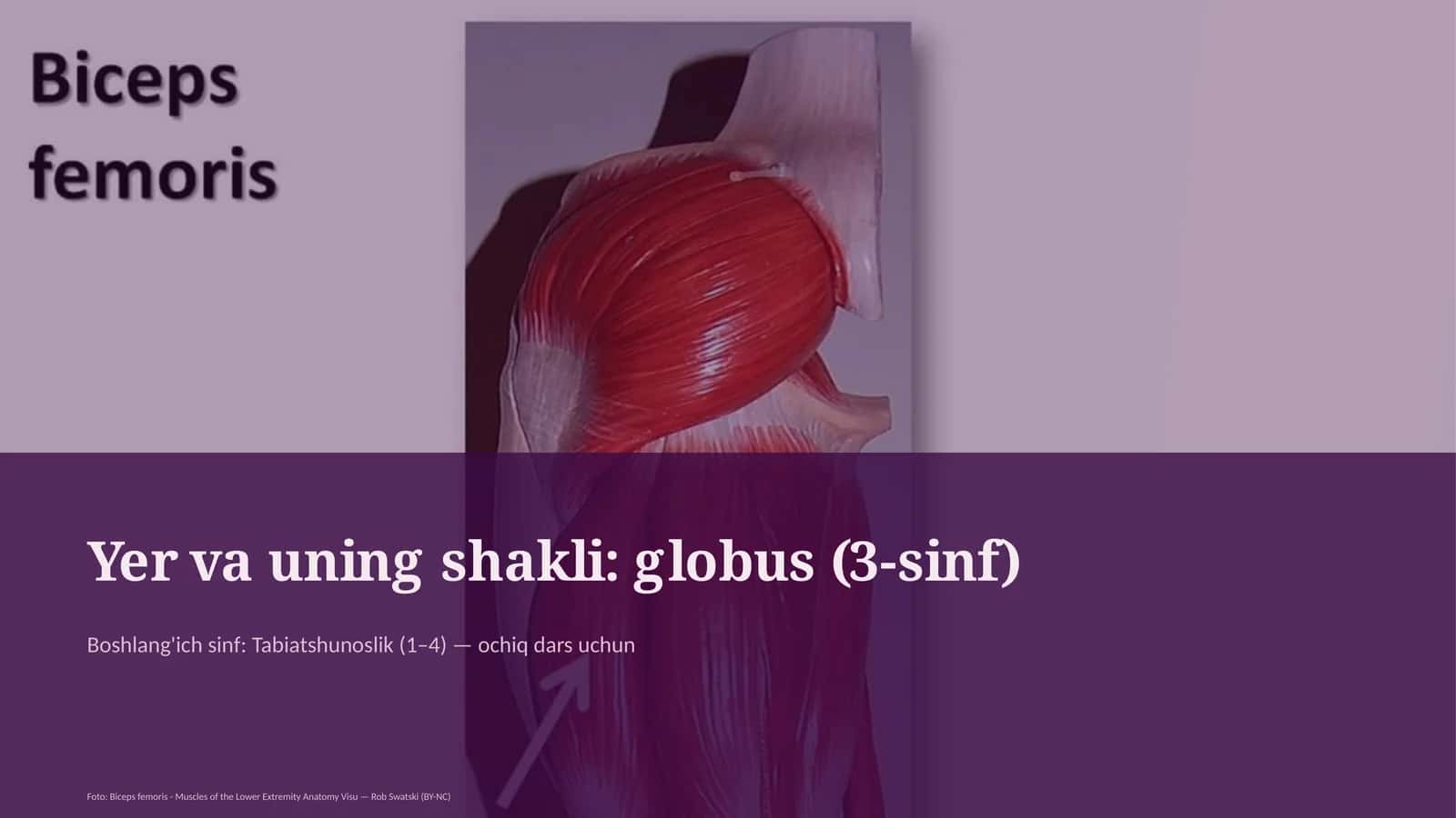 Yer va uning shakli: globus (3-sinf)