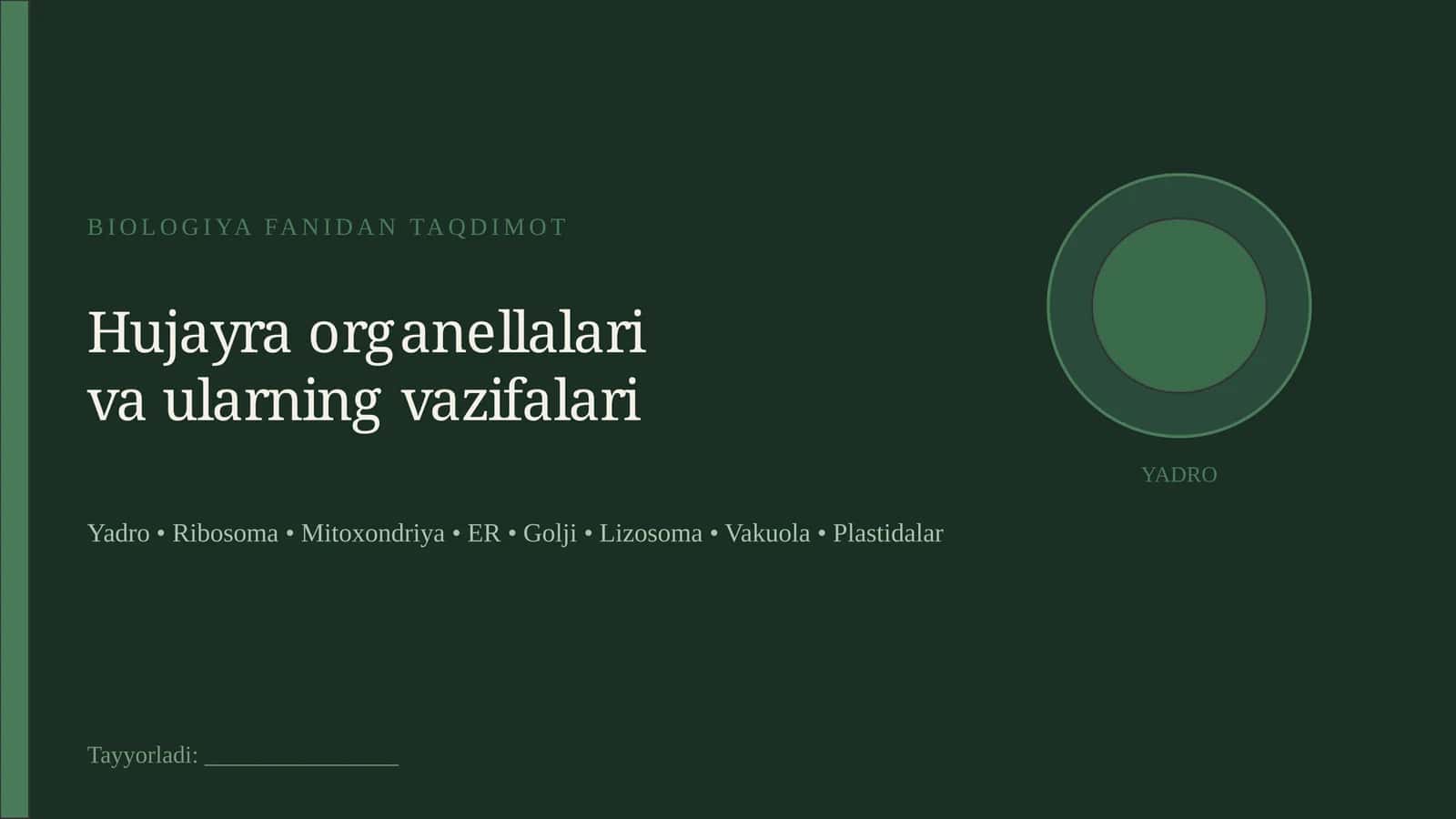 Hujayra organellalari va ularning vazifalari