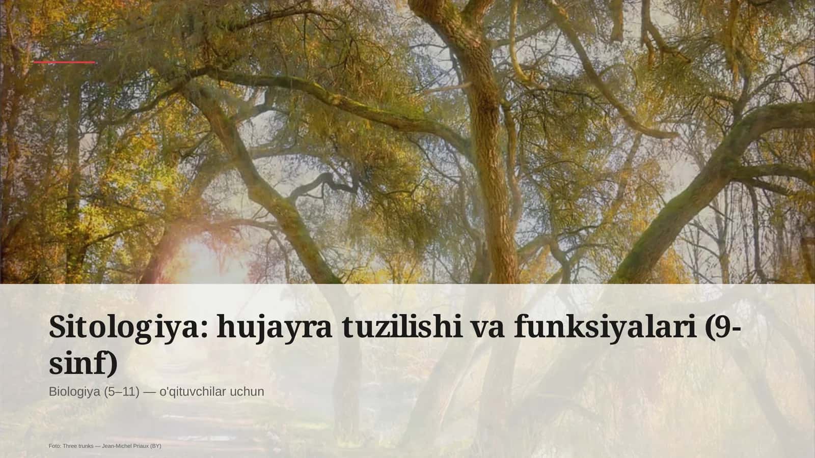 Sitologiya: hujayra tuzilishi va funksiyalari (9-sinf)