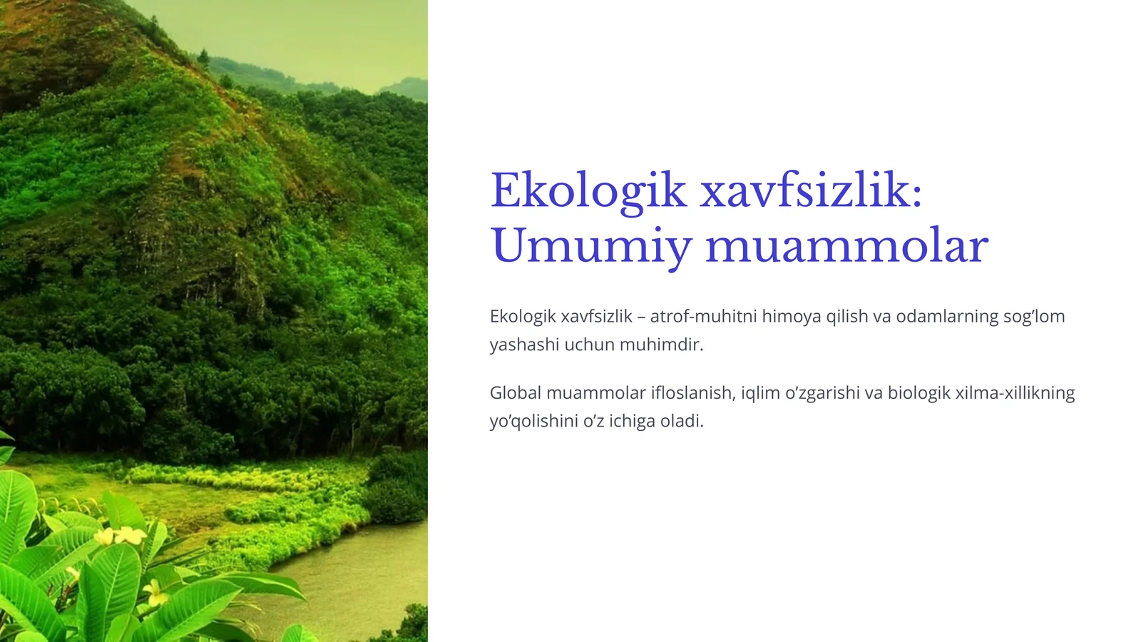 Ekologik xavfsizlik: Umumiy muammolar