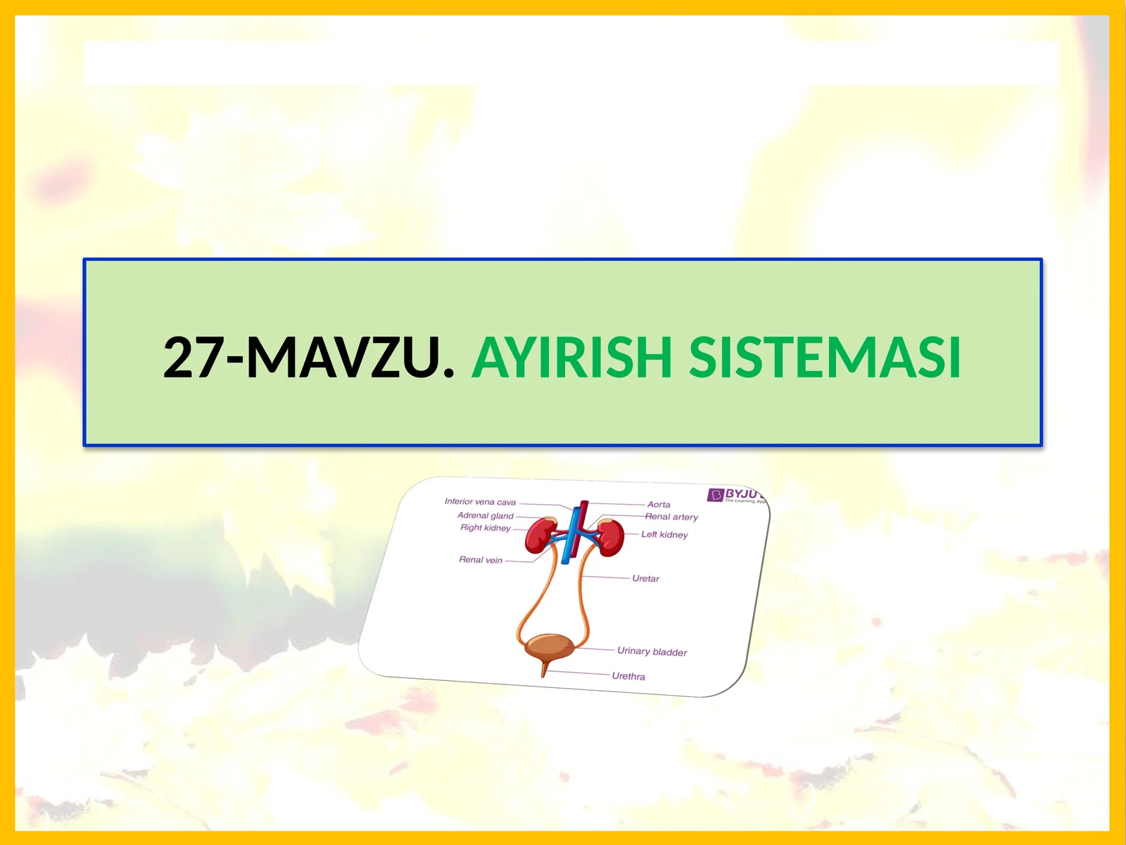 Mavzu.Ayirish Sistemi