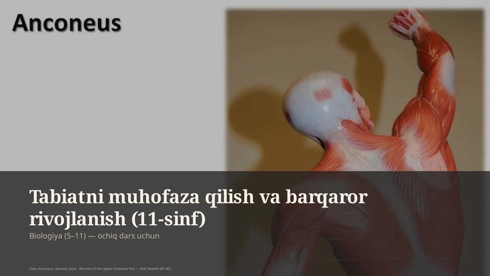 Tabiatni muhofaza qilish va barqaror rivojlanish (11-sinf)