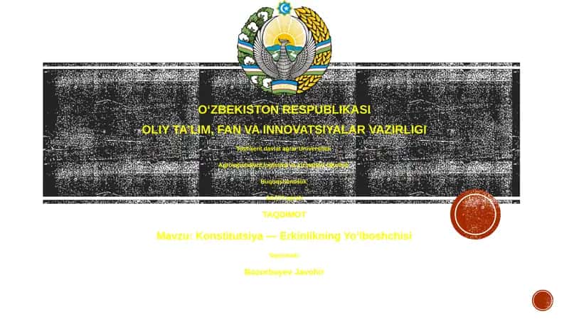 Konstitutsiya — Erkinlikning Yo‘lboshchisi
