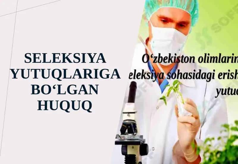 Seleksiya yutuqlariga bo‘lgan huquq