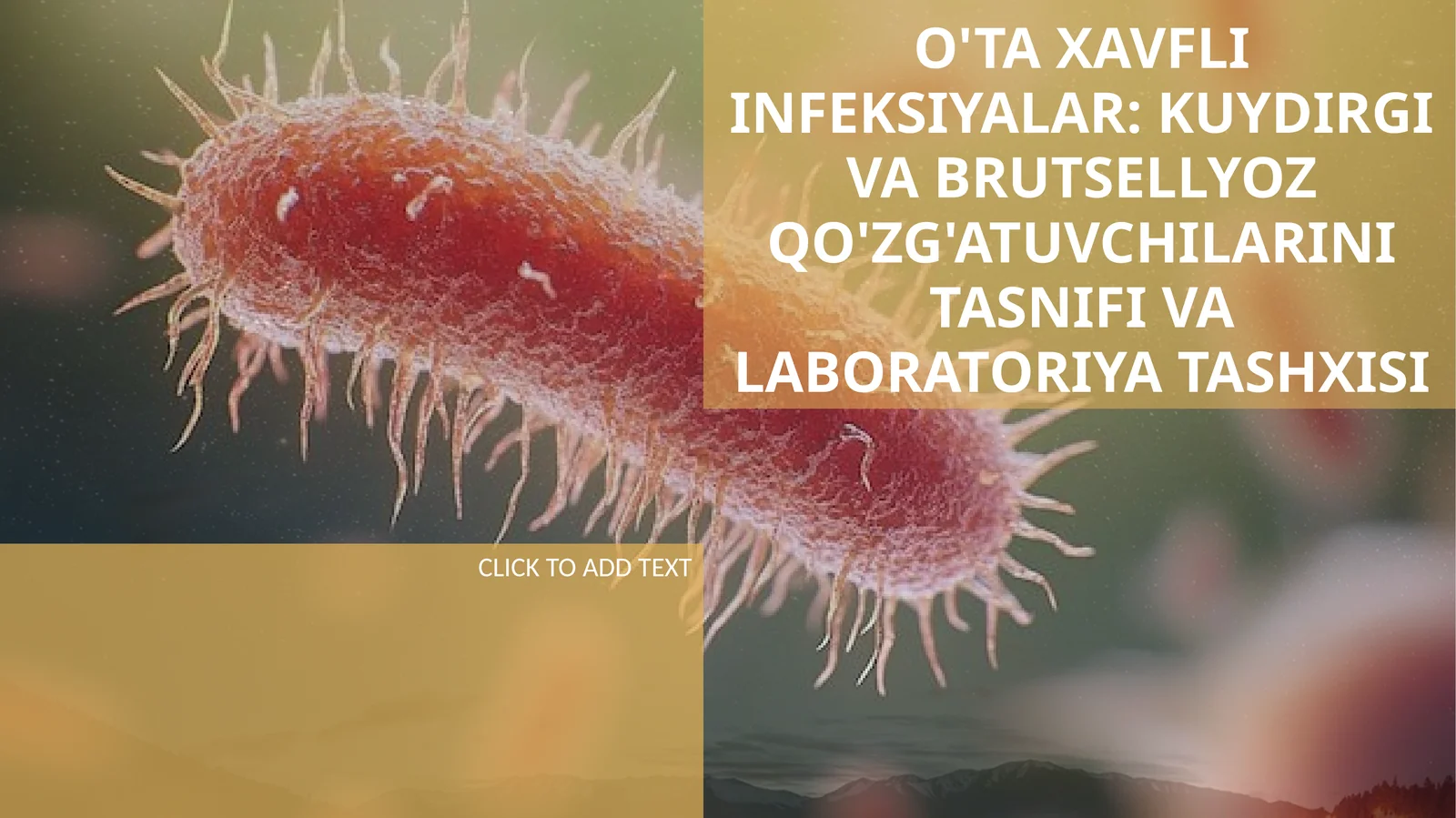 O'TA XAVFLI INFEKSIYALAR: KUYDIRGI VA BRUTSELLYOZ QO'ZG'ATUVCHILARINI TASNIFI VA LABORATORIYA TASHXISI