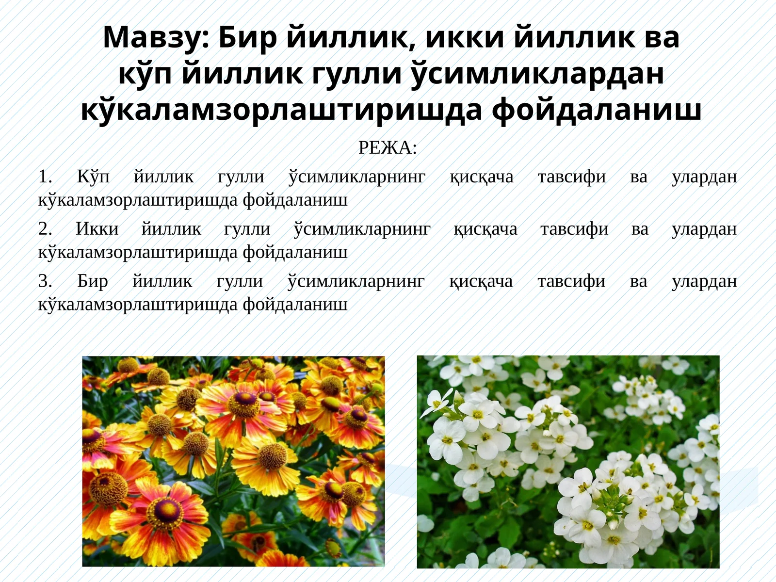 Бир йиллик, икки йиллик ва кўп йиллик гулли ўсимликлардан кўкаламзорлаштиришда фойдаланиш