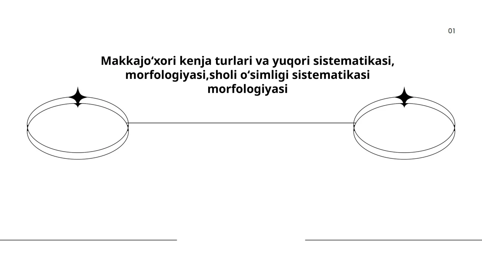 Makkajoʻxori kenja turlari va yuqori sistematikasi, morfologiyasi, sholi oʻsimligi sistematikasi morfologiyasi