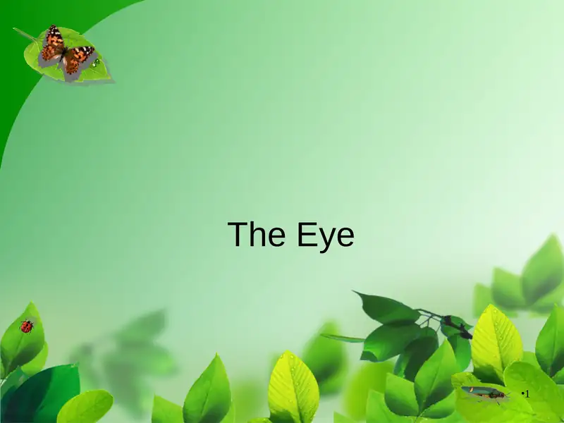 The Eye