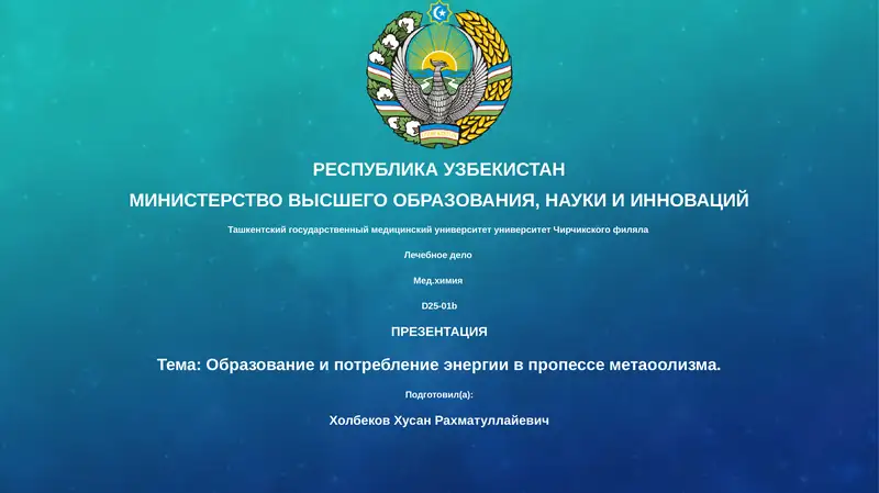 Лечебное дело