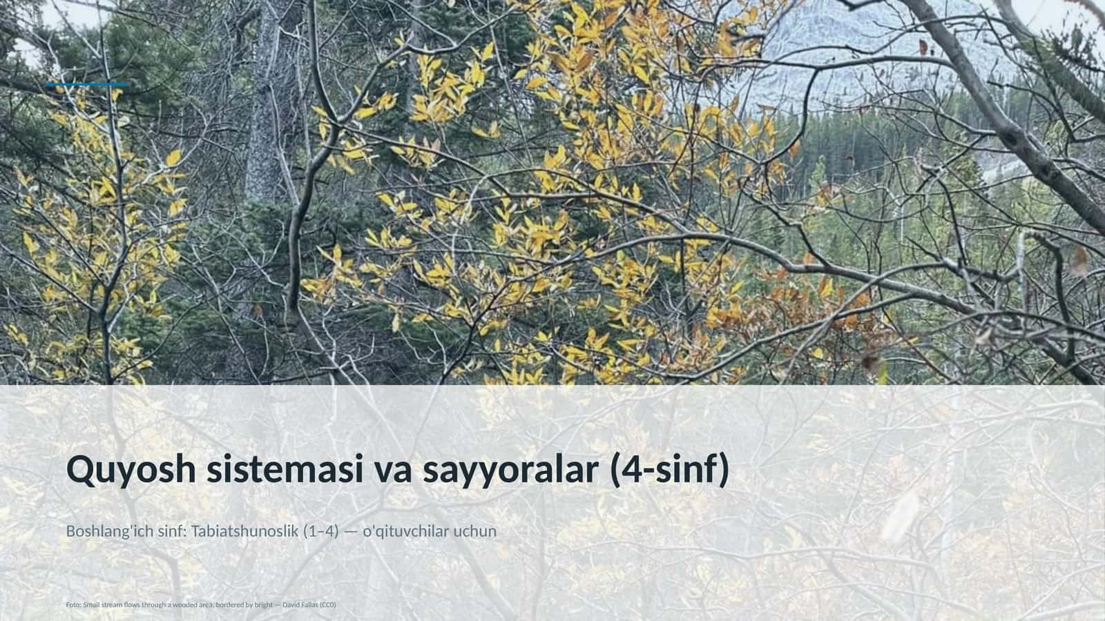 Quyosh sistemasi va sayyoralar (4-sinf)
