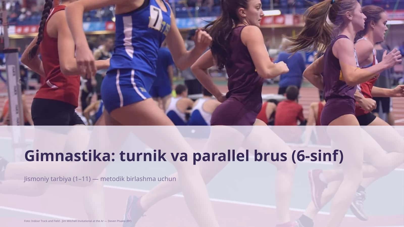 Gimnastika: turnik va parallel brus (6-sinf)