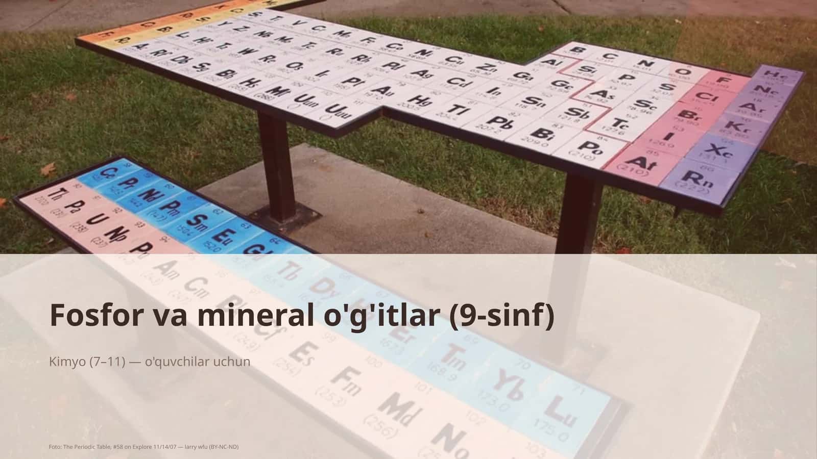 Fosfor va mineral o'g'itlar (9-sinf)