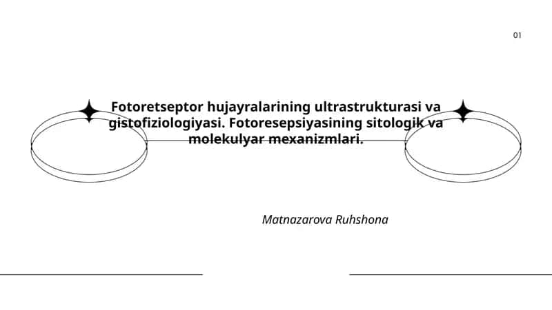 Fotoretseptor hujayralarining ultrastrukturasi va gistofiziologiyasi