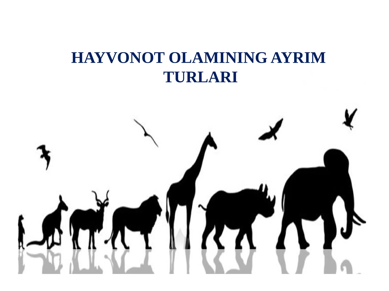HAYVONOTOLAMINING AYRIM TURLARI