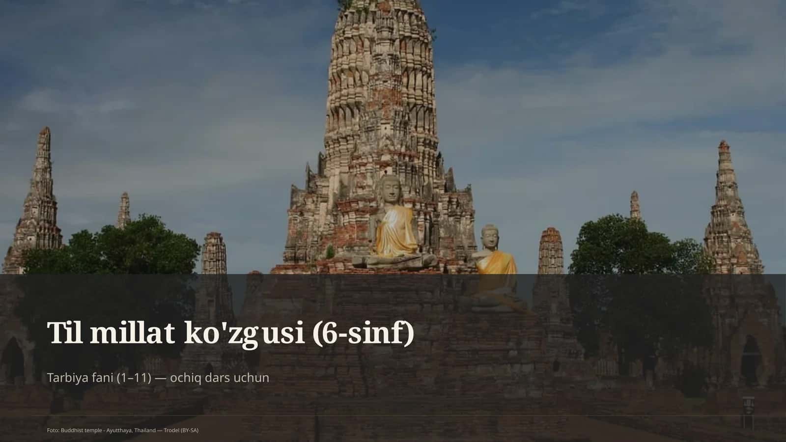Til millat ko'zgusi (6-sinf)