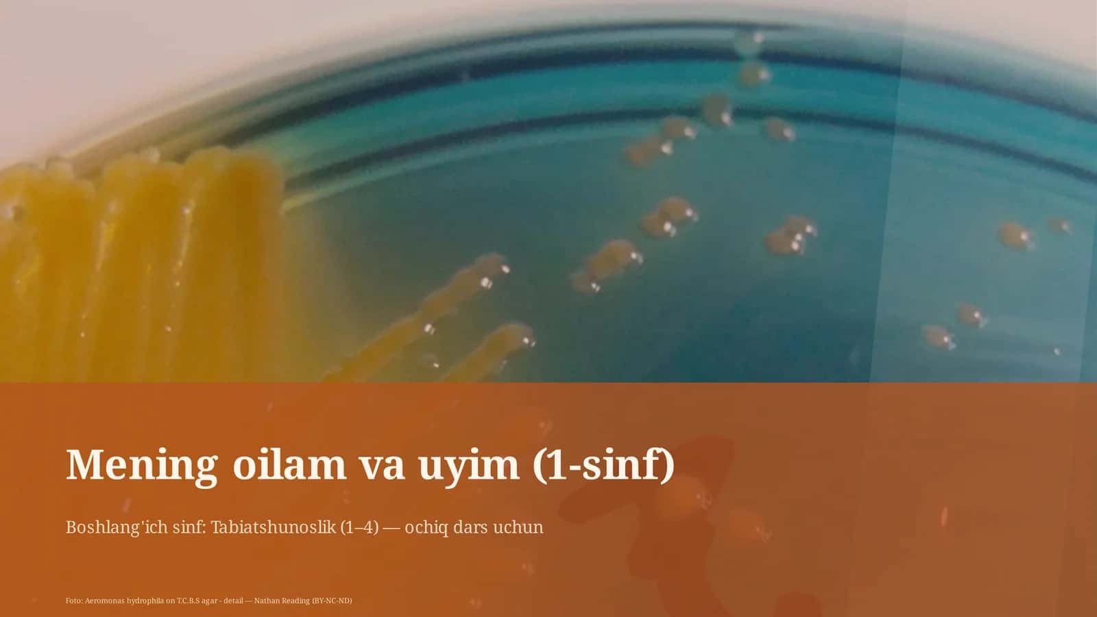 Mening oilam va uyim (1-sinf)