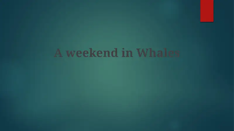 A weekend in Whales