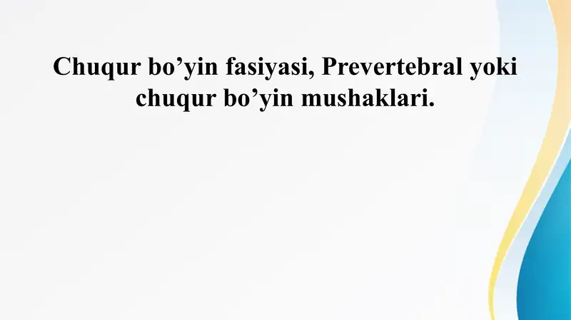 Chuqur bo’yin fasiyasi, Prevertebral yoki chuqur bo’yin mushaklari.