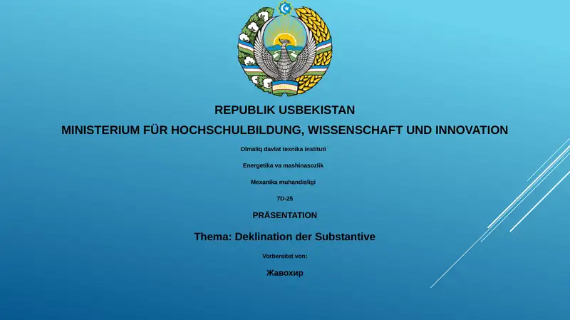 Deklination der Substantive