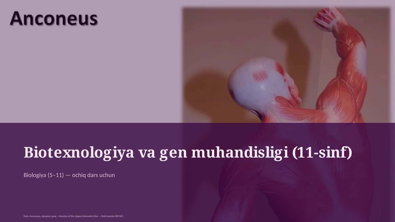 Biotexnologiya va gen muhandisligi (11-sinf)