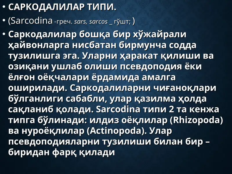 Саркодалилар Типи