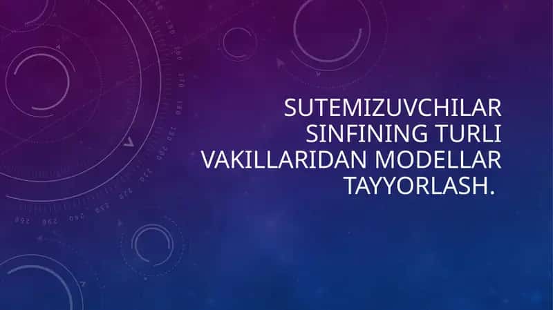 Sutemizuvchilar sinfining turli vakillaridan modellar tayyorlash.