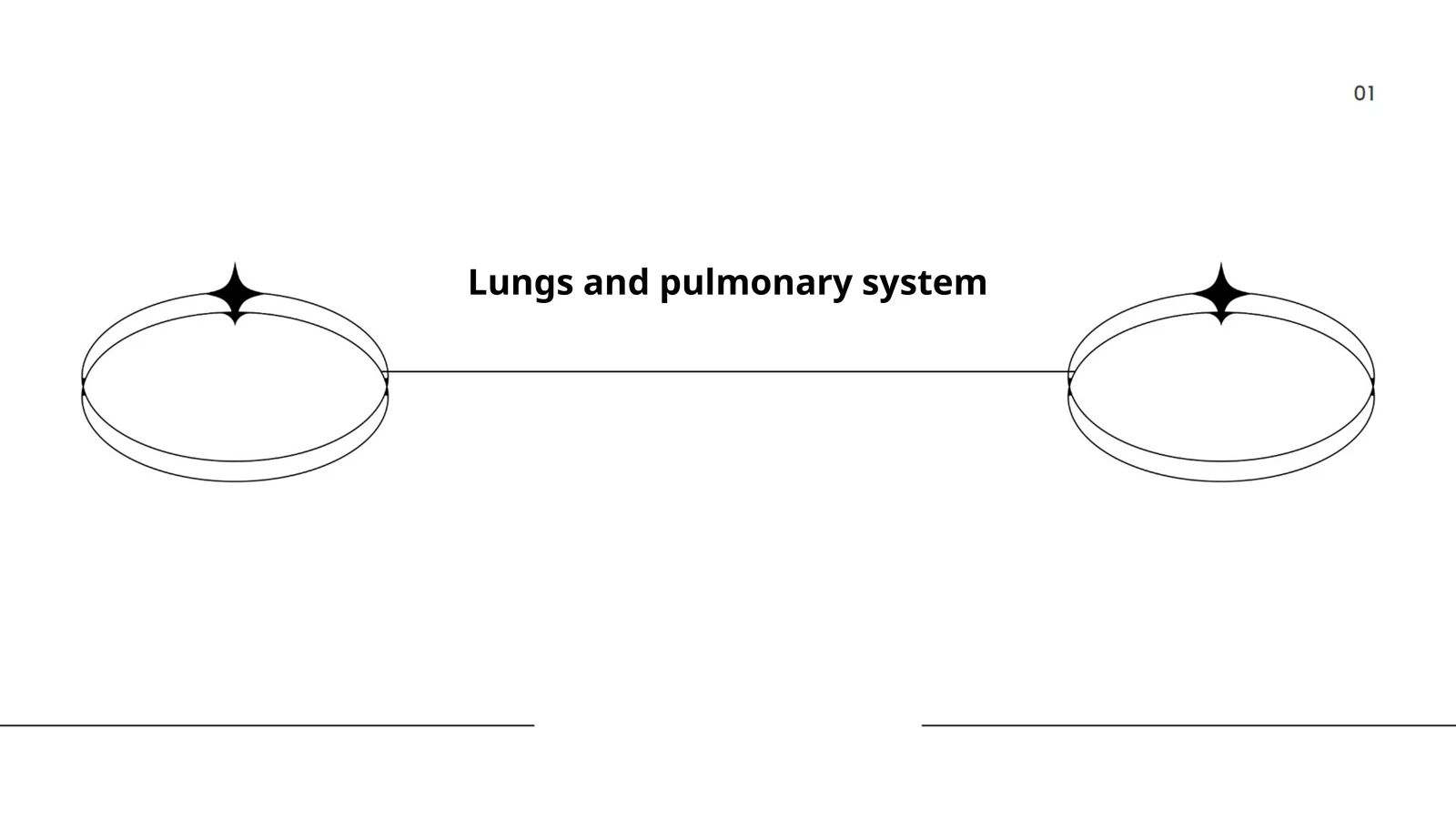 Lungs and pulmonary system