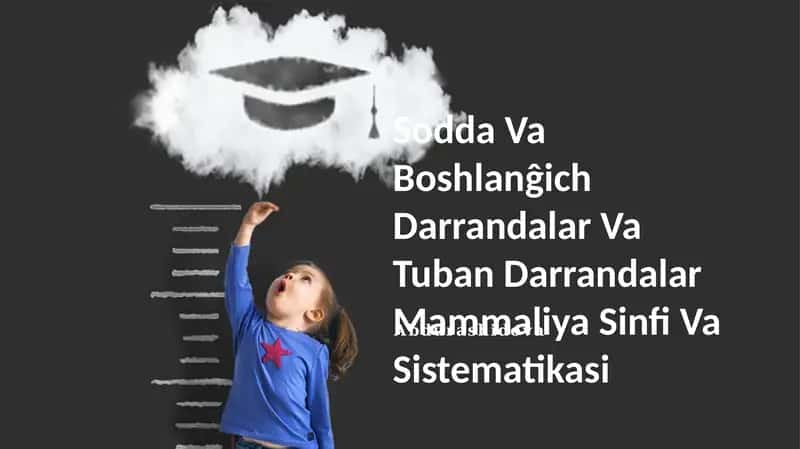 Sodda Va Boshlanĝich Darrandalar Va Tuban Darrandalar Mammaliya Sinfi Va Sistematikasi