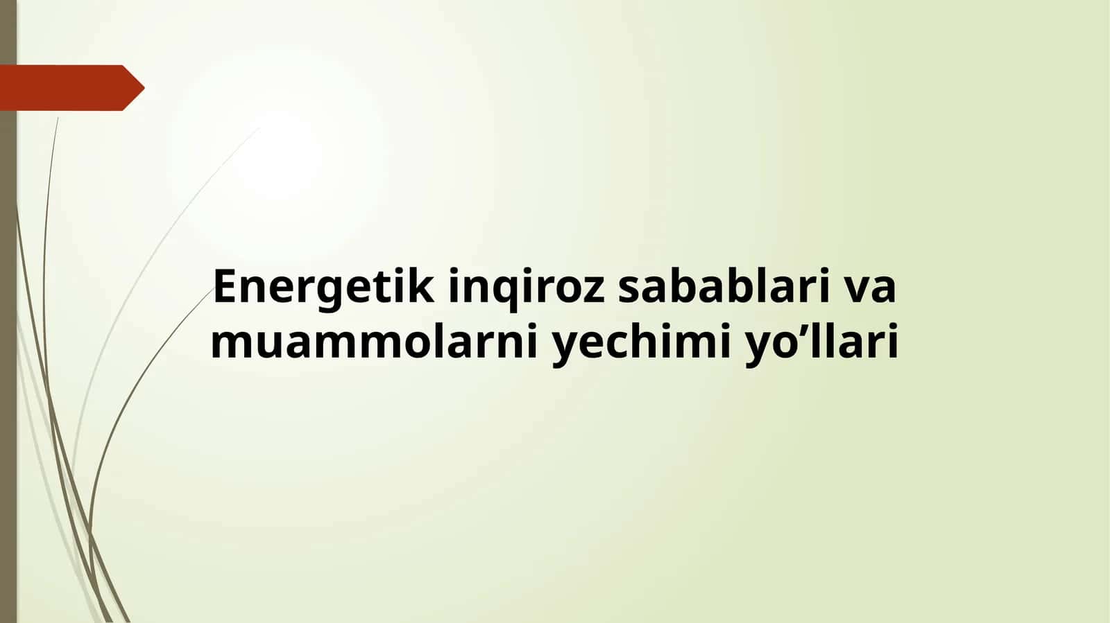 Energetik inqiroz sabablari va muammolarni yechimi yo’llari