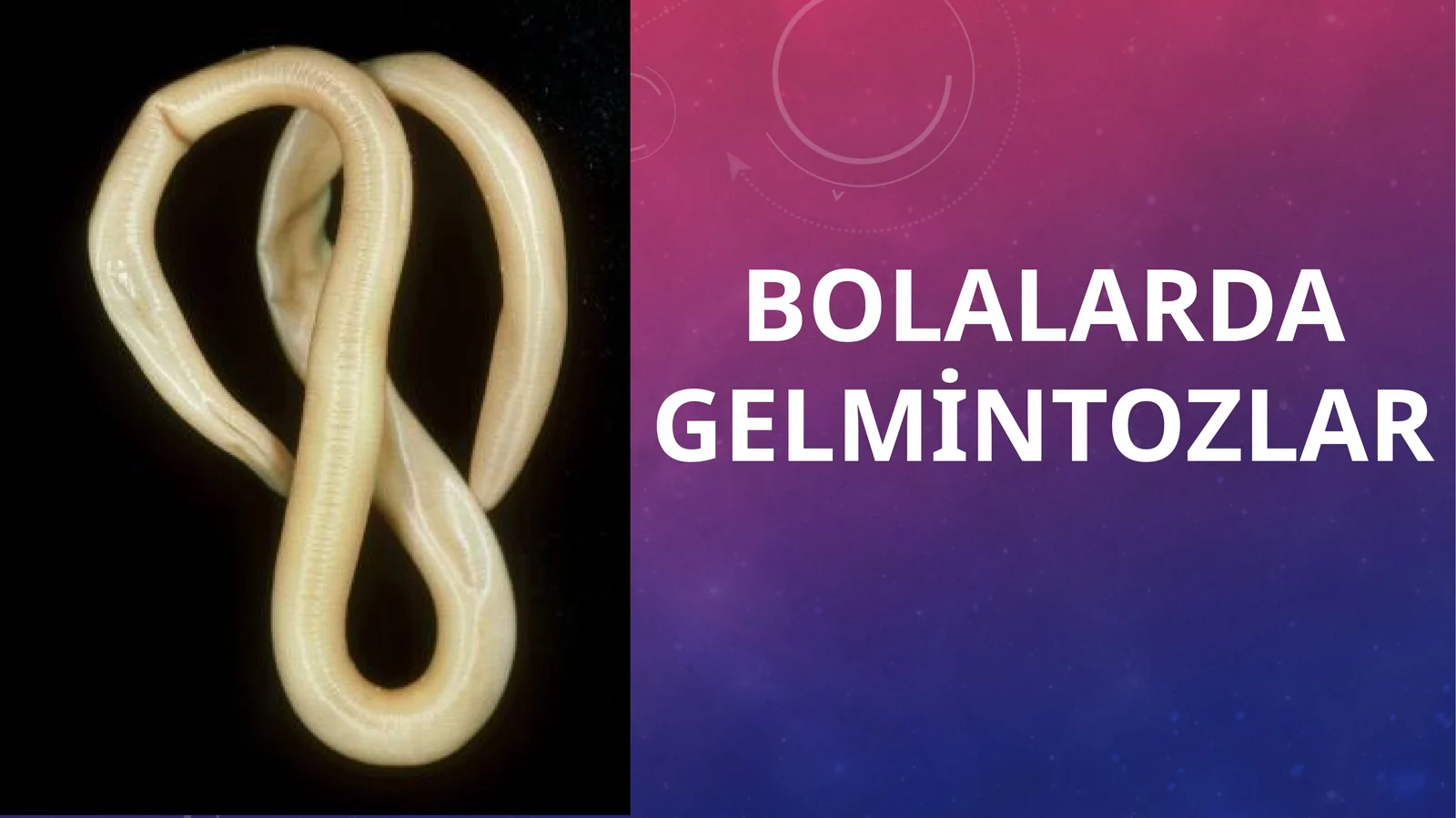 Bolalarda gelmintozlar